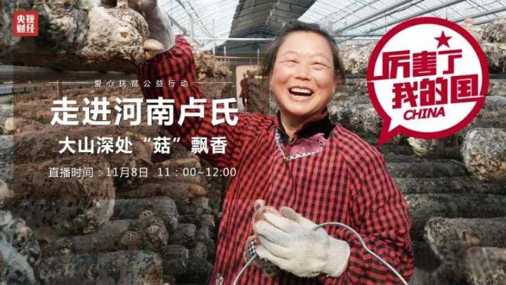 慶祝中國(guó)電商扶貧行動(dòng)·盧氏專場(chǎng)在信念集團(tuán)杜關(guān)香菇基地成功舉辦
