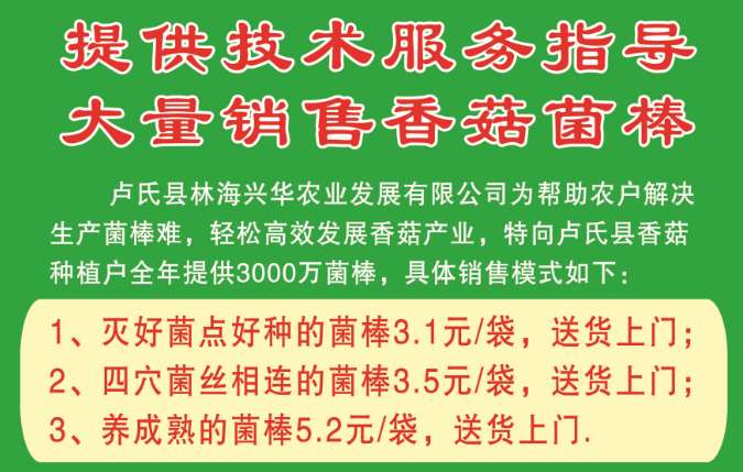 林海興華大量銷售香菇菌棒司并提供技術(shù)服務(wù)指導(dǎo)