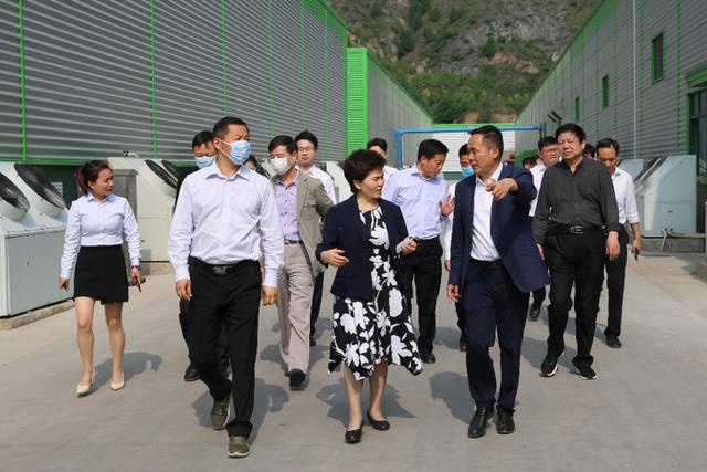 信念集團(tuán)盧氏林海興華公司迎來薛景霞一行考察交流