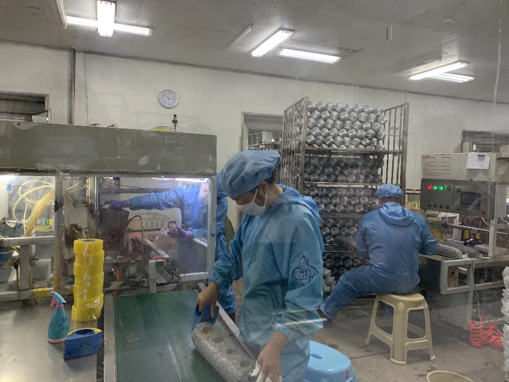 小香菇撐起農(nóng)民致富傘