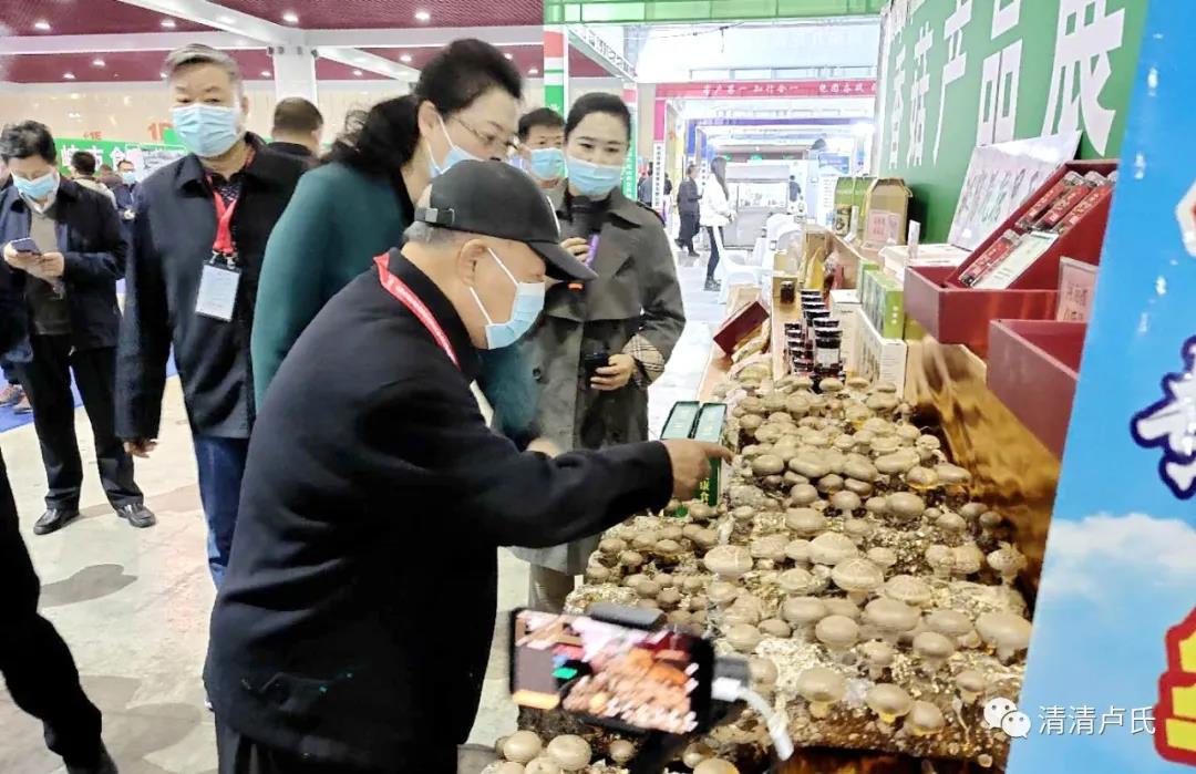 盧氏香菇再放異彩
