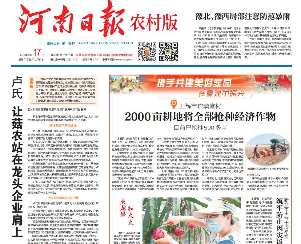 盧氏讓菇農(nóng)站在龍頭企業(yè)肩上