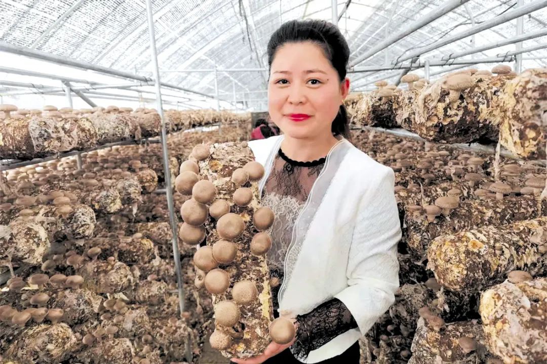 讓盧氏香菇香飄  世界