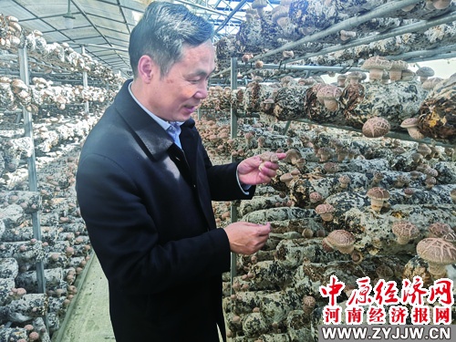 做強(qiáng)產(chǎn)業(yè)更好造福群眾